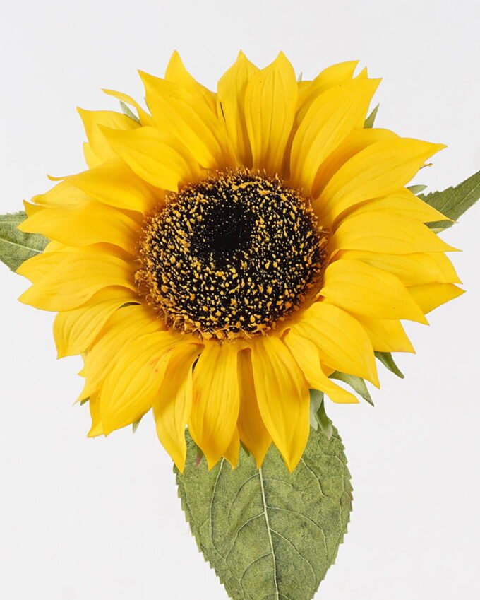 Artificial Flower 22*22*70cm Sunflower single stem(real touch) GS-75324013 2024Nov YeahFlower is one of Chinese leading OEM manufacturers and exporters , supplying the silk flowers, wholesale artificial trees