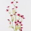 Artificial Flower wild chrysanthemum single stem GS-73124001-R1_5 Artificial Flower 30*30*90cm wild chrysanthemum single stem GS-73124001-R1 2024Oct YeahFlower is one of Chinese leading OEM manufacturers and exporters , supplying the silk flowers, wholesale artificial trees