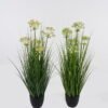 Artificial Grass 50*50*85cm Babysbreath *5 in PP pot GS-61924061 2024Oct YeahFlower is one of Chinese leading OEM manufacturers and exporters , supplying the silk flowers, wholesale artificial trees