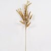 Artificial Grass 25*25*82cm Earhead single stem GS-75624004-Y1 2024Nov YeahFlower is one of Chinese leading OEM manufacturers and exporters , supplying the silk flowers, wholesale artificial trees