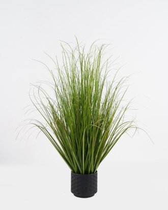 Artificial Grass 60x60x76cm Grass in PP pot GS-29424113 2024Oct YeahFlower is one of Chinese leading OEM manufacturers and exporters , supplying the silk flowers, wholesale artificial trees Artificial Grass 60x60x76cm Grass in PP pot GS-29424113 2024Oct YeahFlower is one of Chinese leading OEM manufacturers and exporters , supplying the silk flowers, wholesale artificial trees