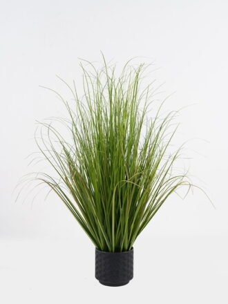 Artificial Grass 50x50x150cm Setaria viridis *13 in PP pot GS-29424111 Grass&PLANT 3,000+ sqm showroom with thousands of artificial flowers, plants & trees ready for global sourcing.