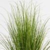 Artificial Grass 60x60x76cm Grass in PP pot GS-29424113 Grass&PLANT 3,000+ sqm showroom with thousands of artificial flowers, plants & trees ready for global sourcing.