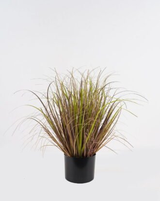 Artificial Grass 60x60x55cm Grass in PP pot GS-29424121 2024Oct YeahFlower is one of Chinese leading OEM manufacturers and exporters , supplying the silk flowers, wholesale artificial trees Artificial Grass 60x60x55cm Grass in PP pot GS-29424121 2024Oct YeahFlower is one of Chinese leading OEM manufacturers and exporters , supplying the silk flowers, wholesale artificial trees