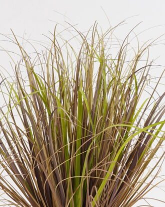 Artificial Grass 60x60x55cm Grass in PP pot GS-29424121 2024Oct YeahFlower is one of Chinese leading OEM manufacturers and exporters , supplying the silk flowers, wholesale artificial trees Artificial Grass 60x60x55cm Grass in PP pot GS-29424121 2024Oct YeahFlower is one of Chinese leading OEM manufacturers and exporters , supplying the silk flowers, wholesale artificial trees