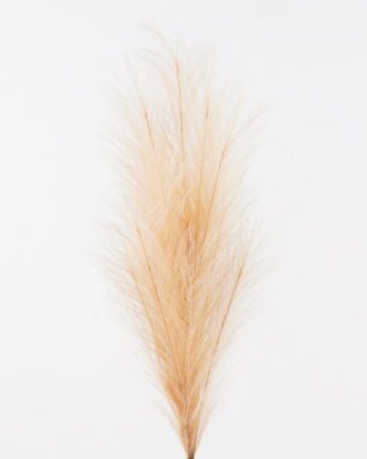 Artificial Grass 23*23*100cm Phragmites *12 single stem GS-75624002-Y2 2024Nov YeahFlower is one of Chinese leading OEM manufacturers and exporters , supplying the silk flowers, wholesale artificial trees