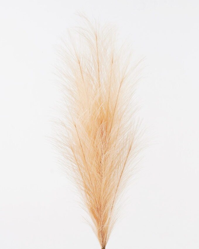 Artificial Grass 23*23*100cm Phragmites *12 single stem GS-75624002-Y2 2024Nov YeahFlower is one of Chinese leading OEM manufacturers and exporters , supplying the silk flowers, wholesale artificial trees