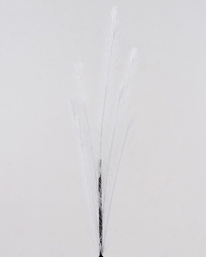 Artificial Grass Phragmites single stem GS-75624001_7 Artificial Grass 10*10*92cm Phragmites single stem GS-75624001 2024Nov YeahFlower is one of Chinese leading OEM manufacturers and exporters , supplying the silk flowers, wholesale artificial trees