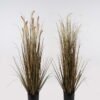 Artificial Grass Setaria viridis 10 in PP pot GS-29424119_2 Artificial Grass 70x70x120cm Setaria viridis *10 in PP pot GS-29424119 2024Oct YeahFlower is one of Chinese leading OEM manufacturers and exporters , supplying the silk flowers, wholesale artificial trees