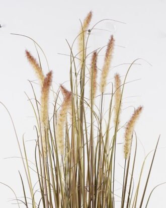 Artificial Grass 70x70x120cm Setaria viridis *10 in PP pot GS-29424119 2024Oct YeahFlower is one of Chinese leading OEM manufacturers and exporters , supplying the silk flowers, wholesale artificial trees Artificial Grass 70x70x120cm Setaria viridis *10 in PP pot GS-29424119 2024Oct YeahFlower is one of Chinese leading OEM manufacturers and exporters , supplying the silk flowers, wholesale artificial trees