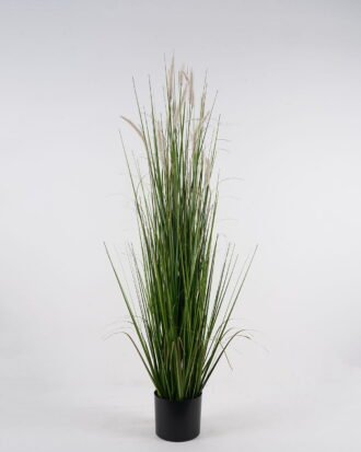 Artificial Grass 50x50x150cm Setaria viridis *13 in PP pot GS-29424111 2024Oct YeahFlower is one of Chinese leading OEM manufacturers and exporters , supplying the silk flowers, wholesale artificial trees Artificial Grass 50x50x150cm Setaria viridis *13 in PP pot GS-29424111 2024Oct YeahFlower is one of Chinese leading OEM manufacturers and exporters , supplying the silk flowers, wholesale artificial trees