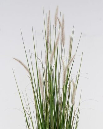 Artificial Grass 50x50x150cm Setaria viridis *13 in PP pot GS-29424111 2024Oct YeahFlower is one of Chinese leading OEM manufacturers and exporters , supplying the silk flowers, wholesale artificial trees Artificial Grass 50x50x150cm Setaria viridis *13 in PP pot GS-29424111 2024Oct YeahFlower is one of Chinese leading OEM manufacturers and exporters , supplying the silk flowers, wholesale artificial trees