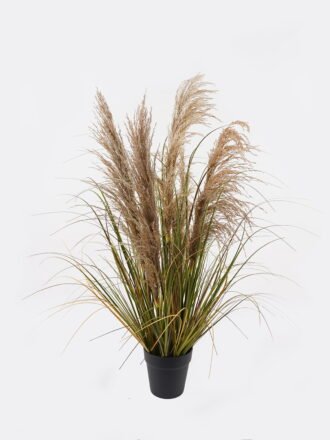 Artificial Grass 25*25*82cm Earhead single stem GS-75624004-Z1 Grass&PLANT 3,000+ sqm showroom with thousands of artificial flowers, plants & trees ready for global sourcing.