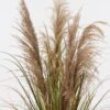 Artificial Grass natural Bulrush 5 in PP pot GS-76124001_6 Artificial Grass 60*60*90cm natural Bulrush *5 in PP pot GS-76124001 2024Nov YeahFlower is one of Chinese leading OEM manufacturers and exporters , supplying the silk flowers, wholesale artificial trees