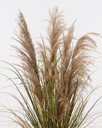 Artificial Grass 60*60*90cm natural  Bulrush *5 in PP pot GS-76124001 2024Nov YeahFlower is one of Chinese leading OEM manufacturers and exporters , supplying the silk flowers, wholesale artificial trees