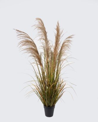 Artificial Grass 65*65*120cm natural  Bulrush *5 in PP pot GS-76124002 2024Nov YeahFlower is one of Chinese leading OEM manufacturers and exporters , supplying the silk flowers, wholesale artificial trees