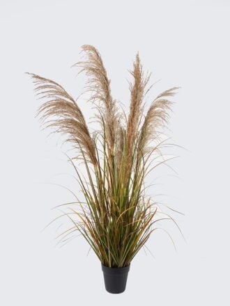 Artificial Grass 65*65*150cm natural  Bulrush *5 in PP pot GS-76124003 Grass&PLANT 3,000+ sqm showroom with thousands of artificial flowers, plants & trees ready for global sourcing.