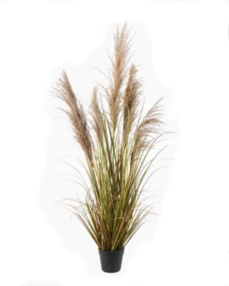 Artificial Grass 65*65*150cm natural  Bulrush *5 in PP pot GS-76124003 2024Nov YeahFlower is one of Chinese leading OEM manufacturers and exporters , supplying the silk flowers, wholesale artificial trees