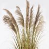 Artificial Grass 85*85*170cm natural  Bulrush *7 in PP pot GS-76124004 2024Nov YeahFlower is one of Chinese leading OEM manufacturers and exporters , supplying the silk flowers, wholesale artificial trees