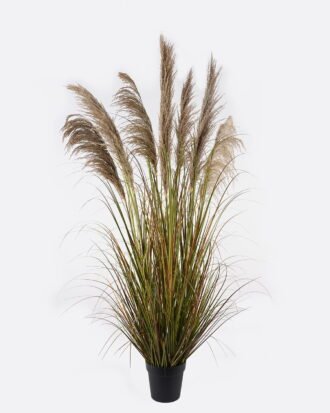 Artificial Grass 85*85*170cm natural  Bulrush *7 in PP pot GS-76124004 2024Nov YeahFlower is one of Chinese leading OEM manufacturers and exporters , supplying the silk flowers, wholesale artificial trees