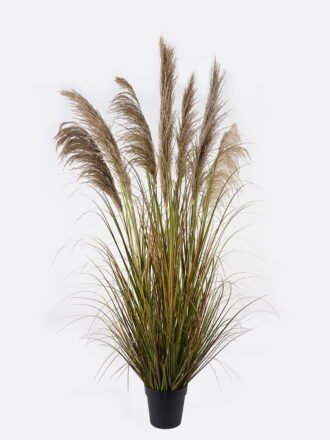 Artificial Grass 65*65*150cm natural  Bulrush *5 in PP pot GS-76124003 Grass&PLANT 3,000+ sqm showroom with thousands of artificial flowers, plants & trees ready for global sourcing.