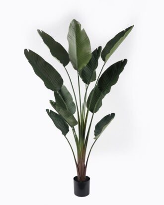 Artificial Plant 210cm Traveller’s Palm in PP pot/12 lvs GS-59524007KD-POST 2024Oct YeahFlower is one of Chinese leading OEM manufacturers and exporters , supplying the silk flowers, wholesale artificial trees
