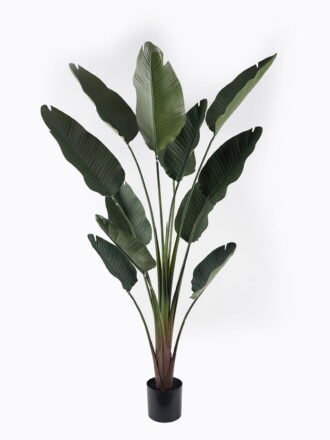Artificial Tree 50*50*95cm Leaf plastic olive in PP pot/684 Lvs GS-59524039 Tree&Plant 3,000+ sqm showroom with thousands of artificial flowers, plants & trees ready for global sourcing.
