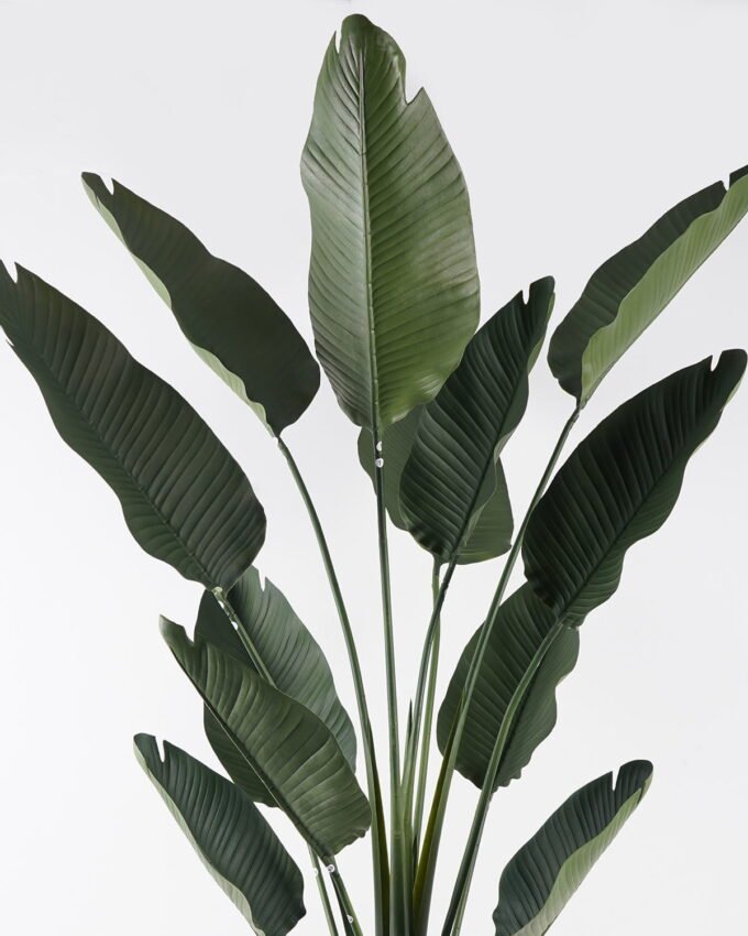 Artificial Plant 210cm Traveller’s Palm in PP pot/12 lvs GS-59524007KD-POST 2024Oct YeahFlower is one of Chinese leading OEM manufacturers and exporters , supplying the silk flowers, wholesale artificial trees