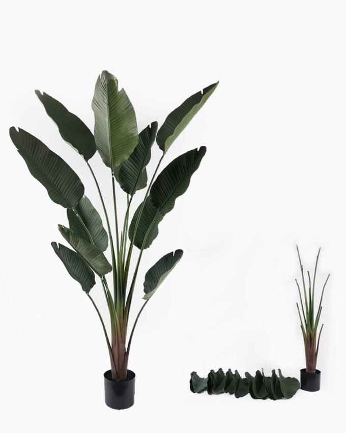 Artificial Plant 210cm Traveller’s Palm in PP pot/12 lvs GS-59524007KD-POST 2024Oct YeahFlower is one of Chinese leading OEM manufacturers and exporters , supplying the silk flowers, wholesale artificial trees