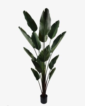 Artificial Plant 240cm Sterlitzia in PP pot/15 lvs GS-59524006P1-UV 2024Oct YeahFlower is one of Chinese leading OEM manufacturers and exporters , supplying the silk flowers, wholesale artificial trees