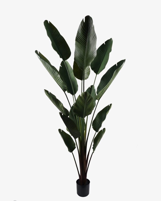 Artificial Plant 240cm Sterlitzia in PP pot/15 lvs GS-59524006P1-UV 2024Oct YeahFlower is one of Chinese leading OEM manufacturers and exporters , supplying the silk flowers, wholesale artificial trees