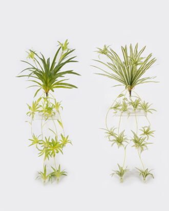 Artificial Plant 36*36*90cm Chlorophytum *6 bush GS-75224001 2024Oct YeahFlower is one of Chinese leading OEM manufacturers and exporters , supplying the silk flowers, wholesale artificial trees