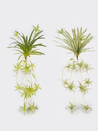Artificial Plant 33*33*88cm Leaf single stem GS-75124005 Leaves&Sprays&Foliages 3,000+ sqm showroom with thousands of artificial flowers, plants & trees ready for global sourcing.