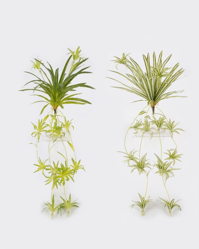 Artificial Plant 36*36*90cm Chlorophytum *6 bush GS-75224001 2024Oct YeahFlower is one of Chinese leading OEM manufacturers and exporters , supplying the silk flowers, wholesale artificial trees