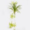Artificial Plant 36*36*90cm Chlorophytum *6 bush GS-75224001 2024Oct YeahFlower is one of Chinese leading OEM manufacturers and exporters , supplying the silk flowers, wholesale artificial trees