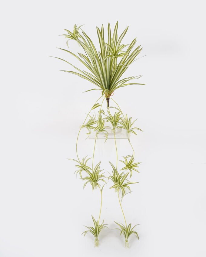 Artificial Plant 36*36*90cm Chlorophytum *6 bush GS-75224001 2024Oct YeahFlower is one of Chinese leading OEM manufacturers and exporters , supplying the silk flowers, wholesale artificial trees