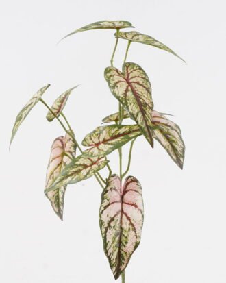 Artificial Plant 30*30*80cm Colocasia single stem GS-70524007 2024Oct YeahFlower is one of Chinese leading OEM manufacturers and exporters , supplying the silk flowers, wholesale artificial trees Artificial Plant 30*30*80cm Colocasia single stem GS-70524007 2024Oct YeahFlower is one of Chinese leading OEM manufacturers and exporters , supplying the silk flowers, wholesale artificial trees