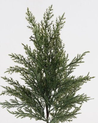 Artificial Plant 25*25*61cm Cypress leaf single stem GS-76024011 2024Nov YeahFlower is one of Chinese leading OEM manufacturers and exporters , supplying the silk flowers, wholesale artificial trees Artificial Plant 25*25*61cm Cypress leaf single stem GS-76024011 2024Nov YeahFlower is one of Chinese leading OEM manufacturers and exporters , supplying the silk flowers, wholesale artificial trees