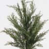 Artificial Plant Cypress leaf single stem GS-76024016_4 Artificial Plant 28*28*72cm Cypress leaf single stem GS-76024016 2024Nov YeahFlower is one of Chinese leading OEM manufacturers and exporters , supplying the silk flowers, wholesale artificial trees
