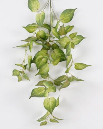Artificial Plant 40*40*100cm  Epipremnum aureum single stem GS-75824005 2024Nov YeahFlower is one of Chinese leading OEM manufacturers and exporters , supplying the silk flowers, wholesale artificial trees