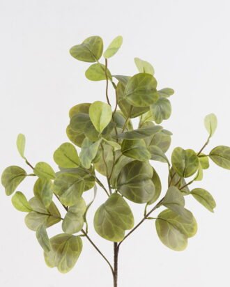 Artificial Plant 31*31*86cm Leaf *5 single stem GS-70524003 2024Oct YeahFlower is one of Chinese leading OEM manufacturers and exporters , supplying the silk flowers, wholesale artificial trees Artificial Plant 31*31*86cm Leaf *5 single stem GS-70524003 2024Oct YeahFlower is one of Chinese leading OEM manufacturers and exporters , supplying the silk flowers, wholesale artificial trees