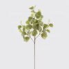 Artificial Plant 31*31*86cm Leaf *5 single stem GS-70524003 2024Oct YeahFlower is one of Chinese leading OEM manufacturers and exporters , supplying the silk flowers, wholesale artificial trees