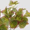Artificial Plant Leaf 7 bush GS-29823009-G1_1 Artificial Plant 28*28*37cm Leaf *7 bush GS-29823009-G1 2024Oct YeahFlower is one of Chinese leading OEM manufacturers and exporters , supplying the silk flowers, wholesale artificial trees