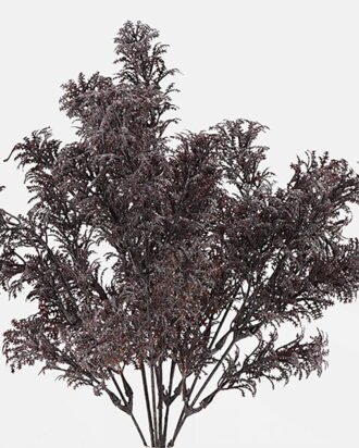Artificial Plant 16*16*32cm Leaf *7 bush GS-73024016-K2 2024Oct YeahFlower is one of Chinese leading OEM manufacturers and exporters , supplying the silk flowers, wholesale artificial trees Artificial Plant 16*16*32cm Leaf *7 bush GS-73024016-K2 2024Oct YeahFlower is one of Chinese leading OEM manufacturers and exporters , supplying the silk flowers, wholesale artificial trees