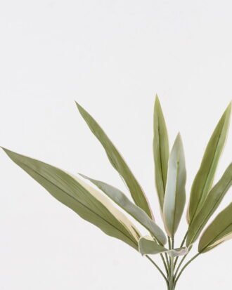 Artificial Plant 40*40*80cm Leaf single stem GS-70524001-G3 2024Oct YeahFlower is one of Chinese leading OEM manufacturers and exporters , supplying the silk flowers, wholesale artificial trees Artificial Plant 40*40*80cm Leaf single stem GS-70524001-G3 2024Oct YeahFlower is one of Chinese leading OEM manufacturers and exporters , supplying the silk flowers, wholesale artificial trees