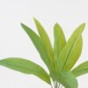 Artificial Plant Leaf single stem GS-70524002_6 Artificial Plant 42*42*82cm Leaf single stem GS-70524002 2024Oct YeahFlower is one of Chinese leading OEM manufacturers and exporters , supplying the silk flowers, wholesale artificial trees