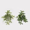 Artificial Plant 21*21*20cm Leaf single stem GS-75124001-G1 2024Oct YeahFlower is one of Chinese leading OEM manufacturers and exporters , supplying the silk flowers, wholesale artificial trees