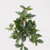 Artificial Plant 21*21*20cm Leaf single stem GS-75124001-G1 2024Oct YeahFlower is one of Chinese leading OEM manufacturers and exporters , supplying the silk flowers, wholesale artificial trees