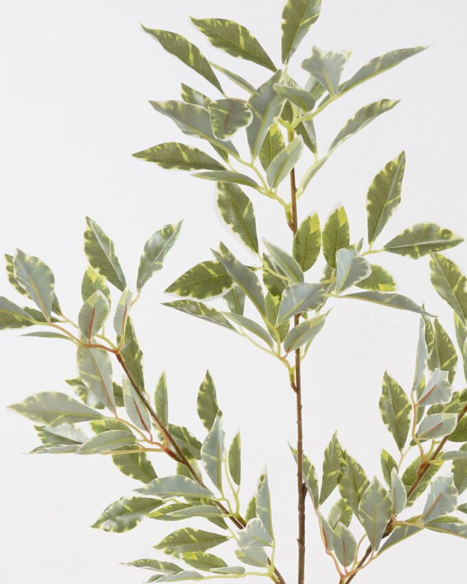 Artificial Plant Leaf single stem GS-75124005_4 Artificial Plant 33*33*88cm Leaf single stem GS-75124005 2024Oct YeahFlower is one of Chinese leading OEM manufacturers and exporters , supplying the silk flowers, wholesale artificial trees