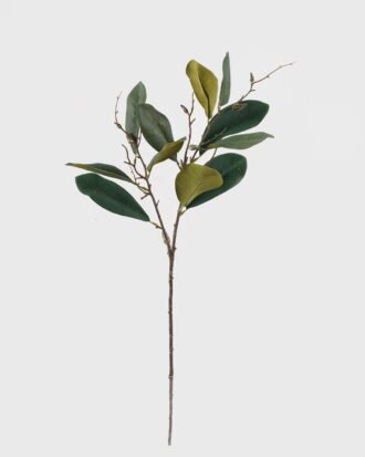 Artificial Plant 25*25*80cm Magnolia leaf single stem GS-58824044 2024Oct YeahFlower is one of Chinese leading OEM manufacturers and exporters , supplying the silk flowers, wholesale artificial trees Artificial Plant 25*25*80cm Magnolia leaf single stem GS-58824044 2024Oct YeahFlower is one of Chinese leading OEM manufacturers and exporters , supplying the silk flowers, wholesale artificial trees